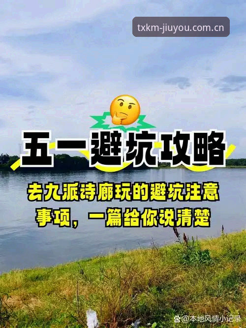 九游官方下载手机版 九游娱乐平台深度评测:从“下载陷阱”到“合规入口”的避坑指南